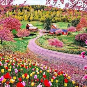 Meet your Posher, Mandy